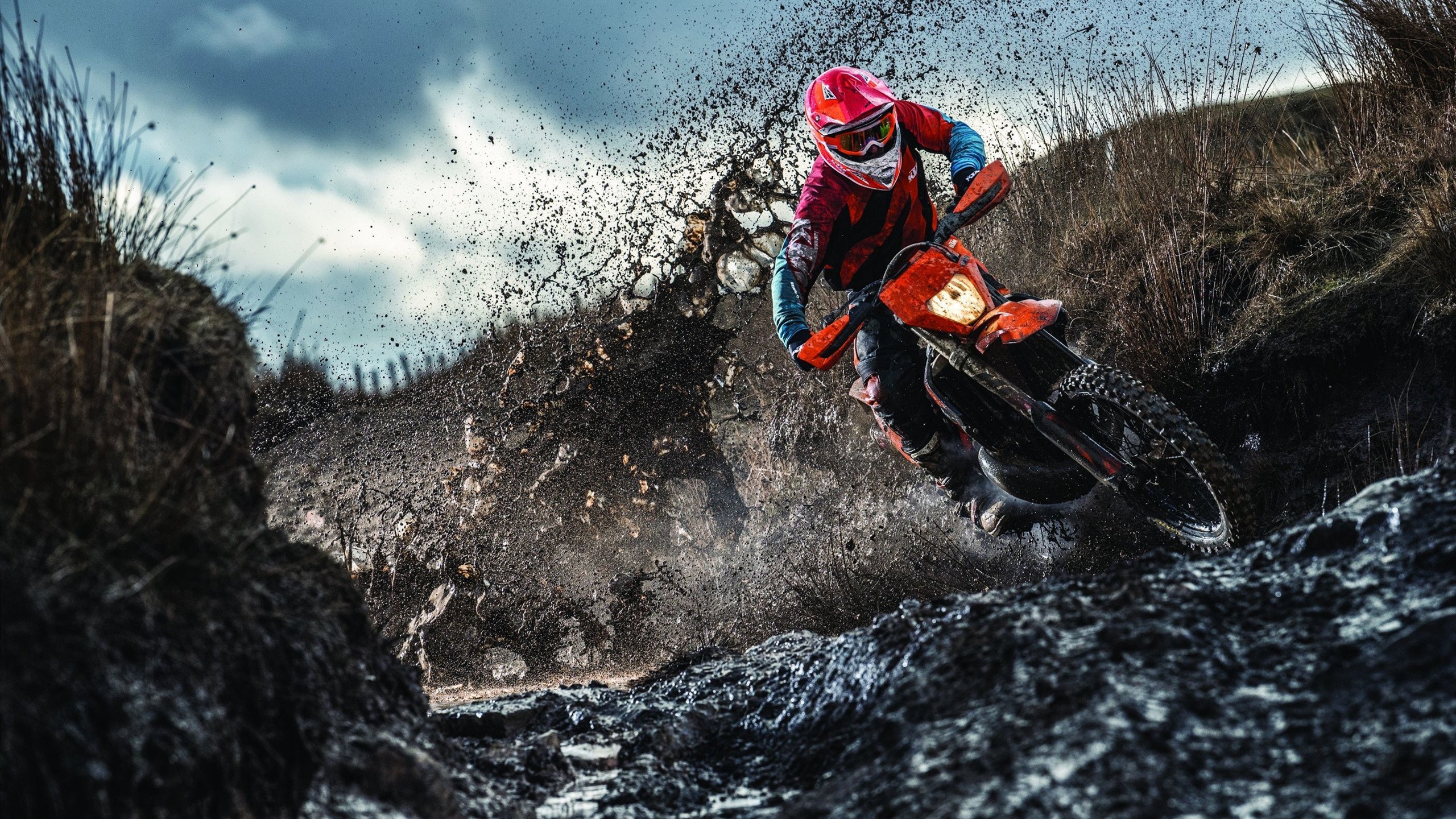 两米一六的奥尼尔为什么钟情于小个子女生？前妻一句话曝出隐情